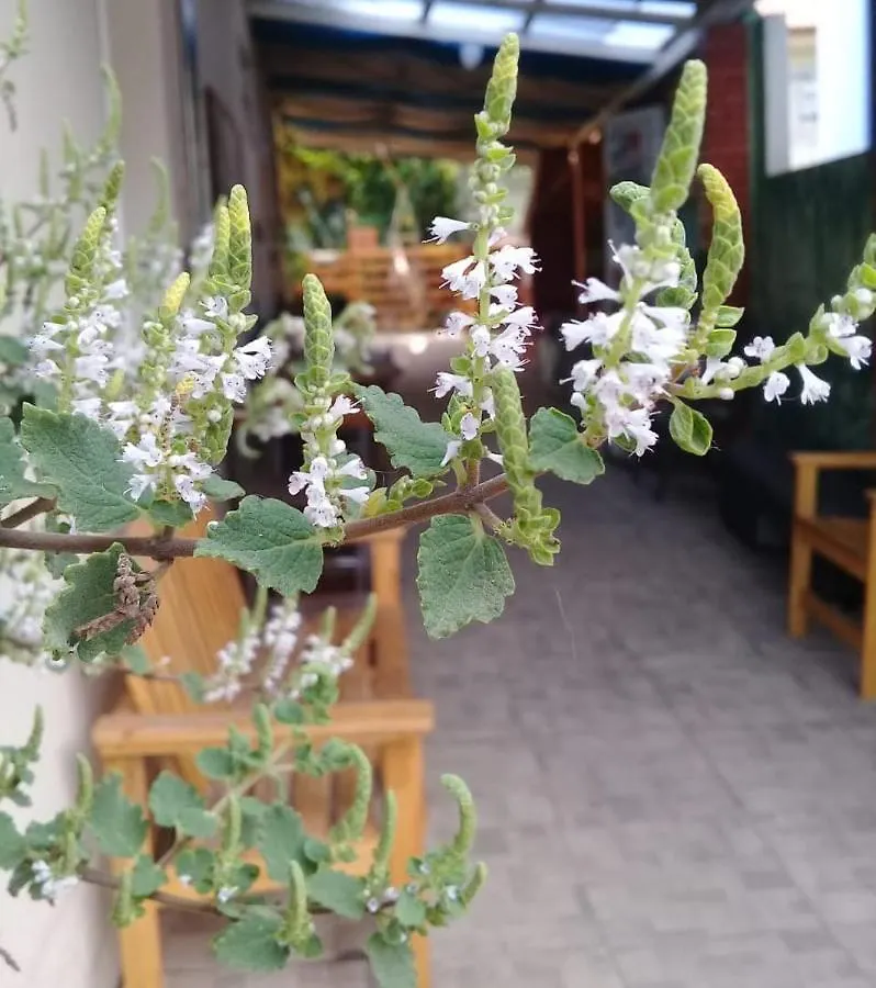 Hostel Nossa Casa Florianopolis Brazil