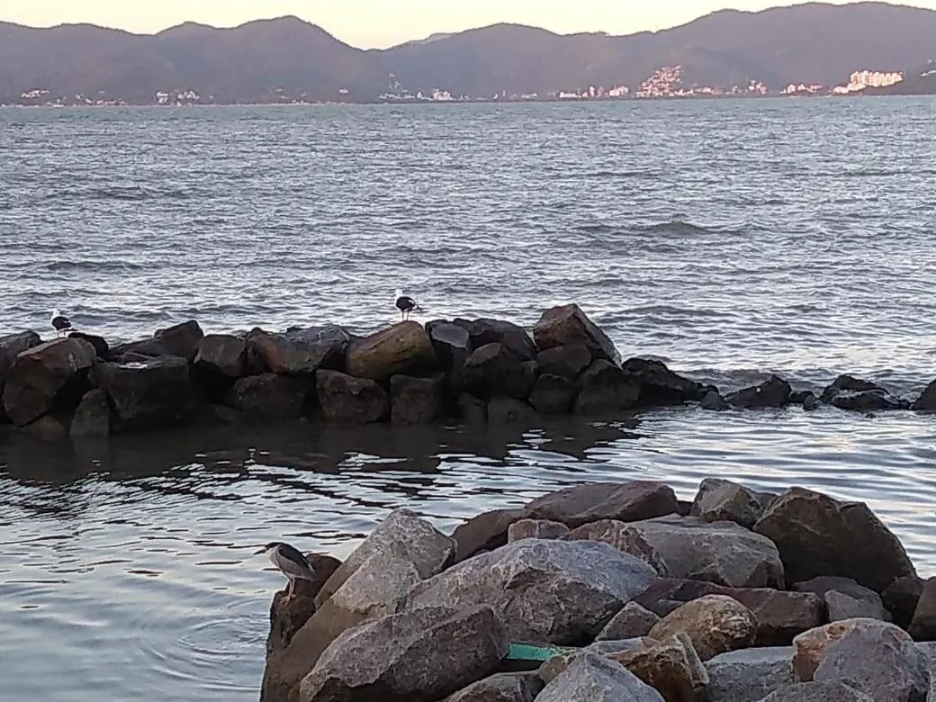 Hostel Nossa Casa Florianopolis Brazil